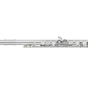 Amadeus Flutes Silver-Plated Closed Hole Student Flute with Offset G and C Foot Petit Prix