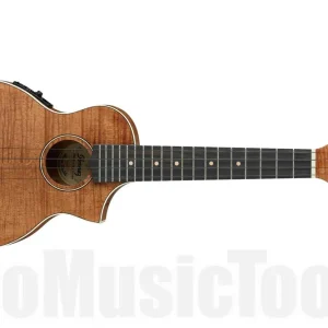 Acheter En Ligne Ibanez UEW15E-OPN - Open Pore Natural