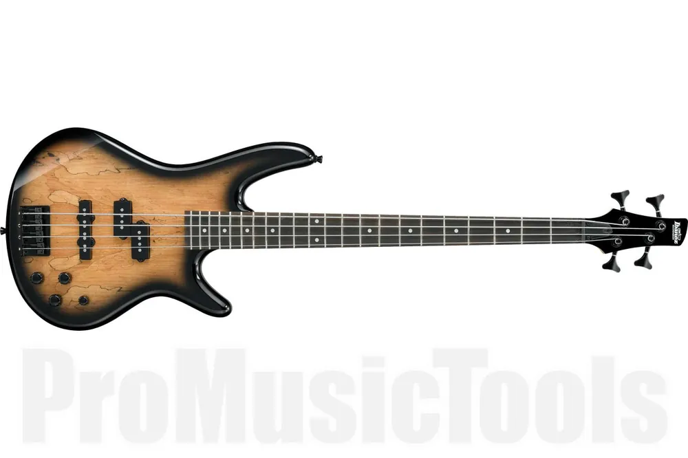 Commande En Gros Ibanez GSR200SM-NGT - Natural Gray Burst GIO