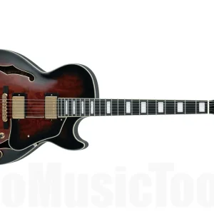 Bon Marché Ibanez AG95QA-DBS - Desert Brown Sunburst Artcore Expr.