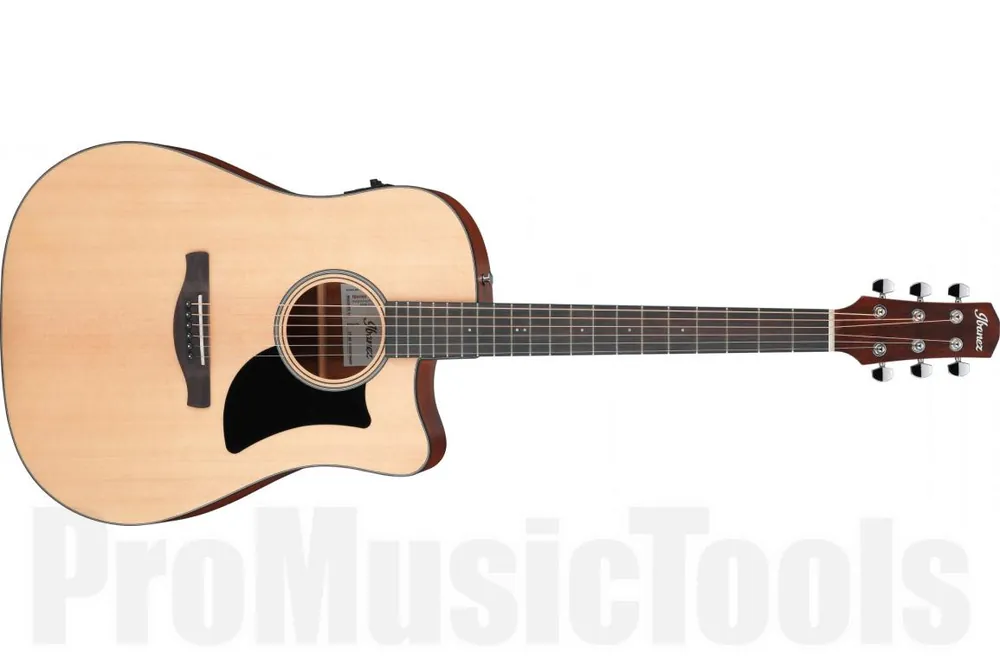 Livraison Express Ibanez AAD50CE-LG - Natural Low Gloss