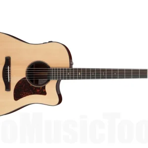 Vente Directe Ibanez AAD400CE-LGS - Natural Low Gloss