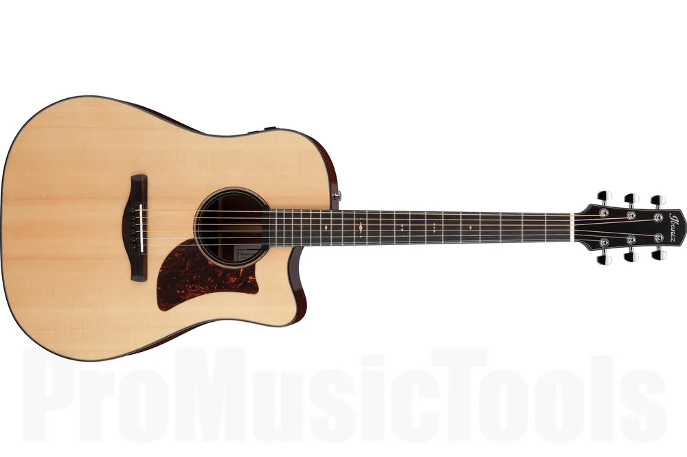 Vente Directe Ibanez AAD400CE-LGS - Natural Low Gloss