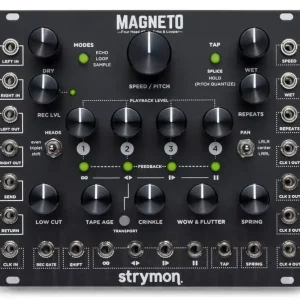 Dernier Modèle Strymon Magneto - Einzelstück