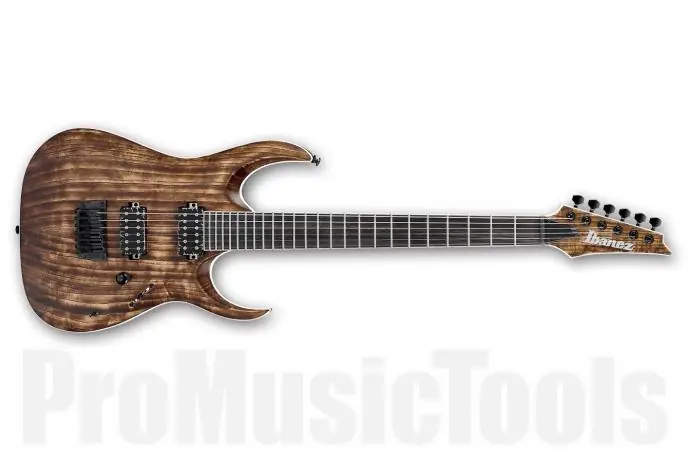 Ibanez RGAIX6U ABS Iron Label - Antique Brown Stained Must-Have