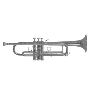 Commander Maintenant BACH TR-450S TROMPETTE SIB ARGENTEE avec étui & embouchure