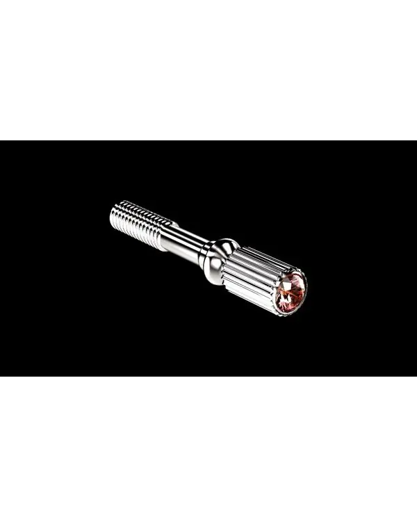 Achat Immédiat JLV VIS DE SERRAGE PLAQUEE ARGENT STRASS RUBIS