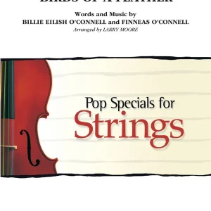 Hal Leonard Birds of a Feather - Eilish - String Orchestra - Gr. 3-4 Vente Directe