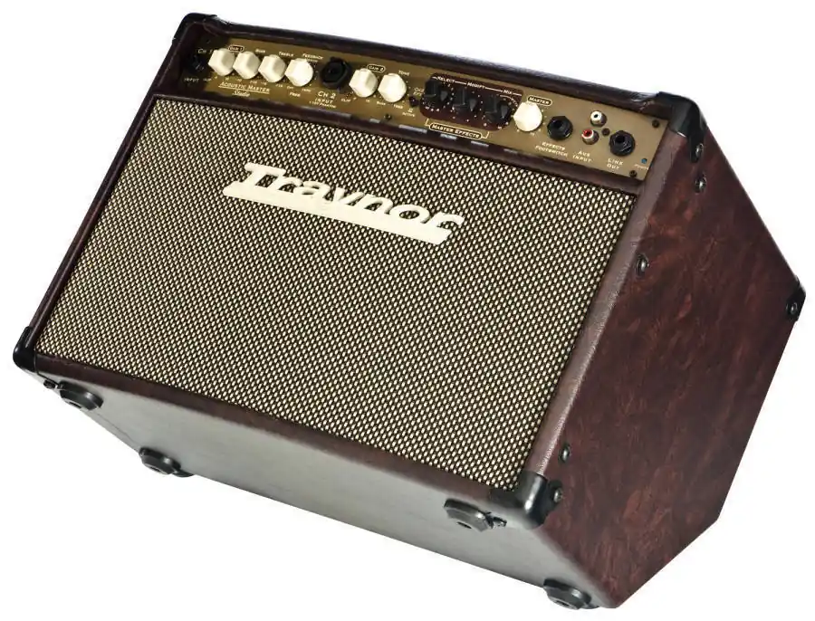 Retour Gratuit Traynor 2-Channel Compact Stereo Acoustic Guitar Amp - 65 Watts