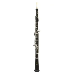 Offre Spéciale BUFFET CRAMPON PRODIGE HAUTBOIS SIMPLIFIE D‘ETUDE AVEC ETUI