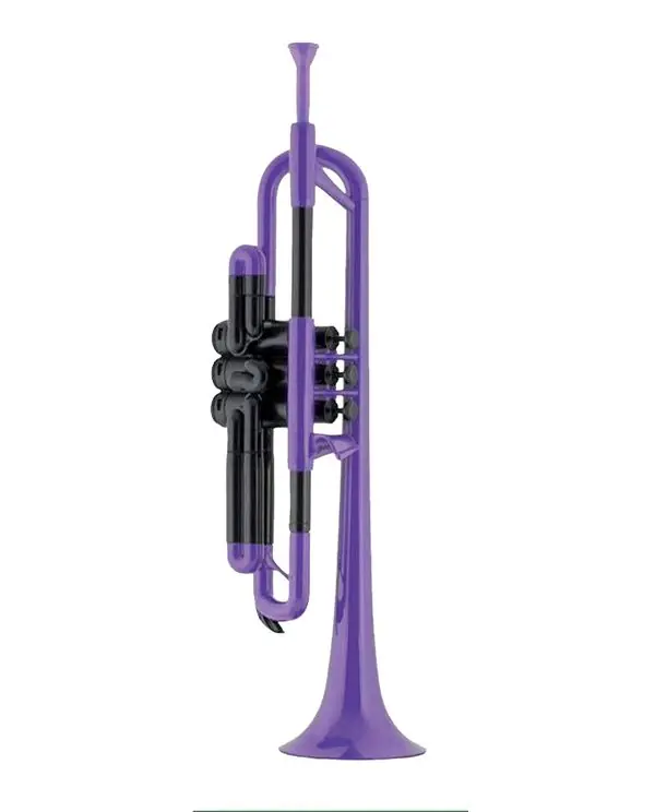 Prix Cassé PTRUMPET TROMPETTE EN RESINE ABS VIOLETTE avec housse et embouchure