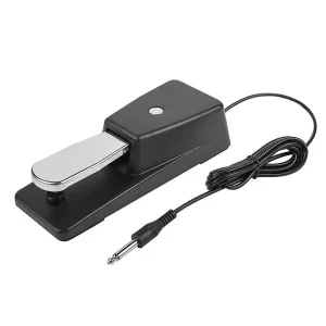 Acheter Direct BOSTON GFS-25 PEDALE DE SUSTAIN UNIVERSELLE