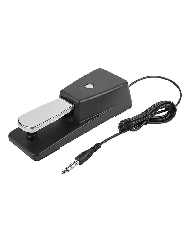 Acheter Direct BOSTON GFS-25 PEDALE DE SUSTAIN UNIVERSELLE