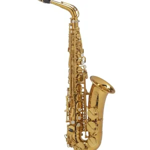 SELMER SUPREME SAXOPHONE ALTO VERNI DARK GOLD GRAVÉ avec étui et bec Commander Maintenant