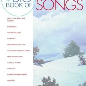 Prix Promo Hal Leonard Big Book of Christmas Songs for Violin
