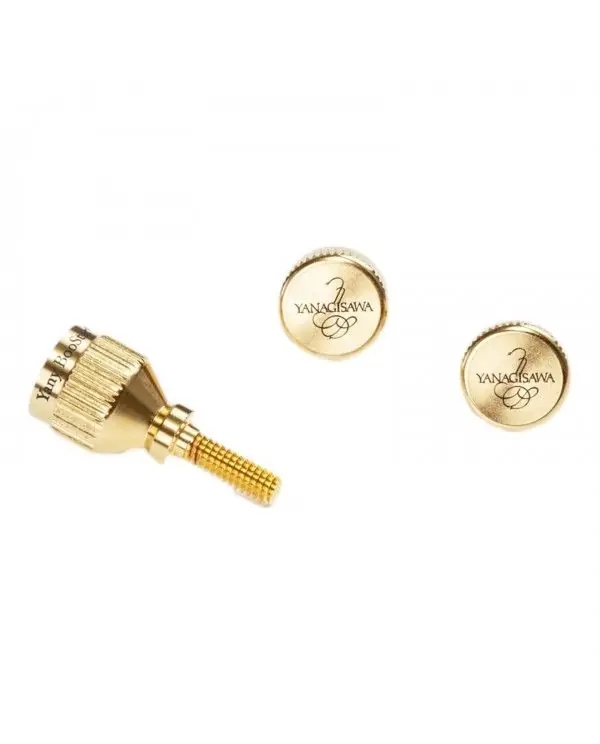 Commander Maintenant YANAGISAWA YANY BOOSTAR OR POUR SAXOPHONE YAMAHA
