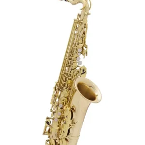 Soldes MTP JUNIOR SERIE II SAXOPHONE ALTO POUR ENFANT - 2 bocaux
