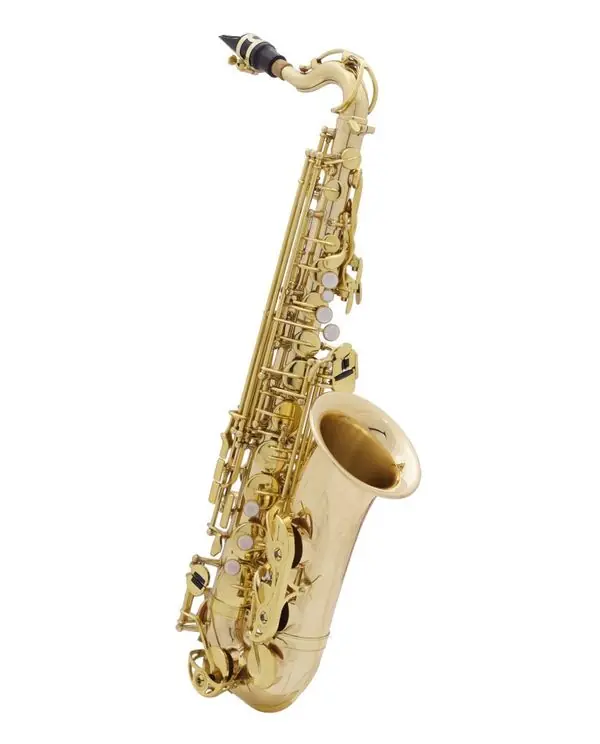 Soldes MTP JUNIOR SERIE II SAXOPHONE ALTO POUR ENFANT - 2 bocaux