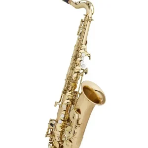 Prix Réduit MTP START SAXOPHONE ALTO POUR ENFANT