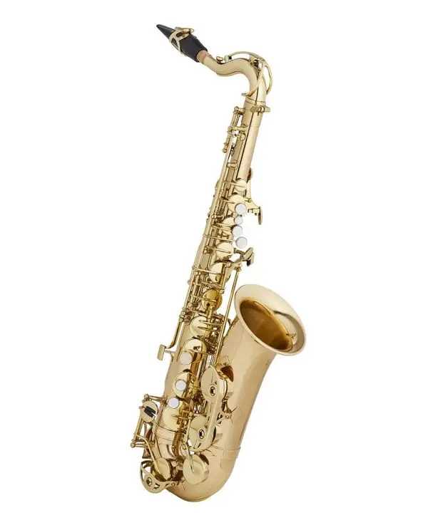 Prix Réduit MTP START SAXOPHONE ALTO POUR ENFANT