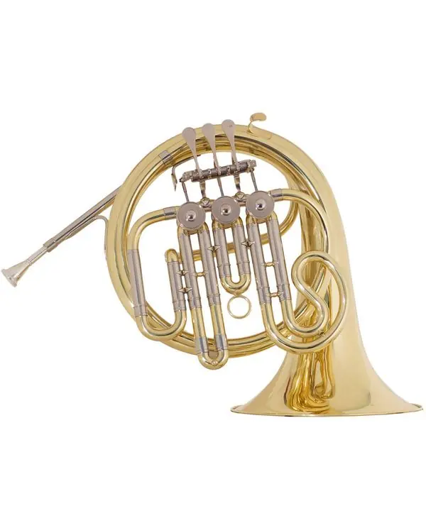 Meilleure Vente MTP MINI COR D‘HARMONIE DE POCHE EN SIB VERNI + ETUI