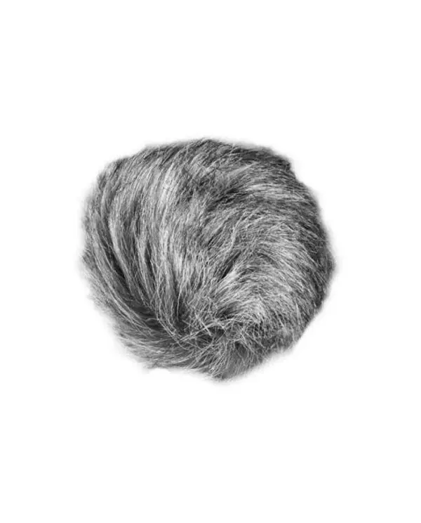 Top Vente ZOOM WSU-1 BONETTE POUR ENREGISTREUR NUMERIQUE