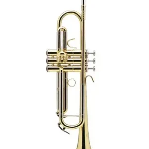 B&S 210 PRODIGE TROMPETTE SIB VERNIE avec étui et embouchure Commande En Gros