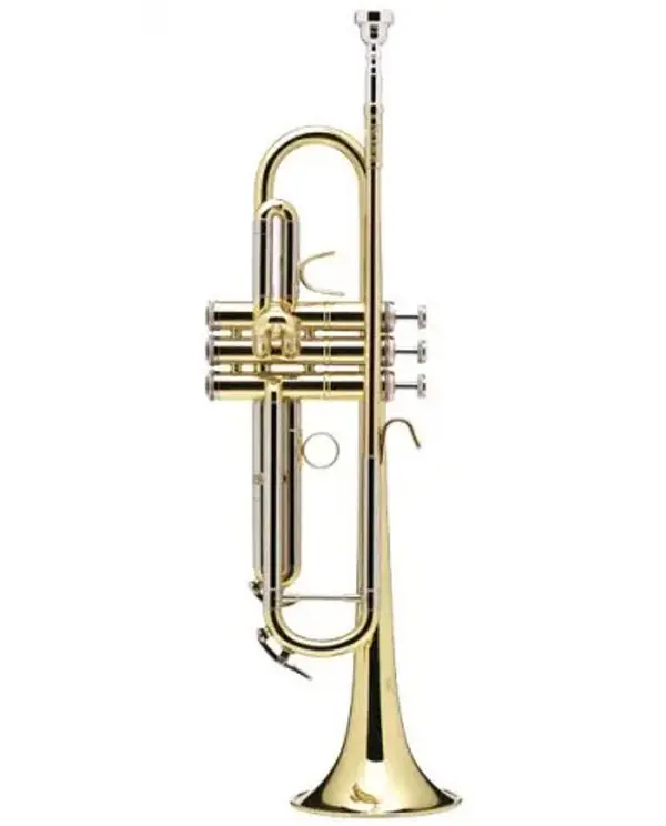 B&S 210 PRODIGE TROMPETTE SIB VERNIE avec étui et embouchure Commande En Gros