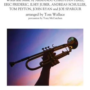 Prix Réduit Hal Leonard Fireball - Pitbull/Wallace - Marching Band - Gr. 3