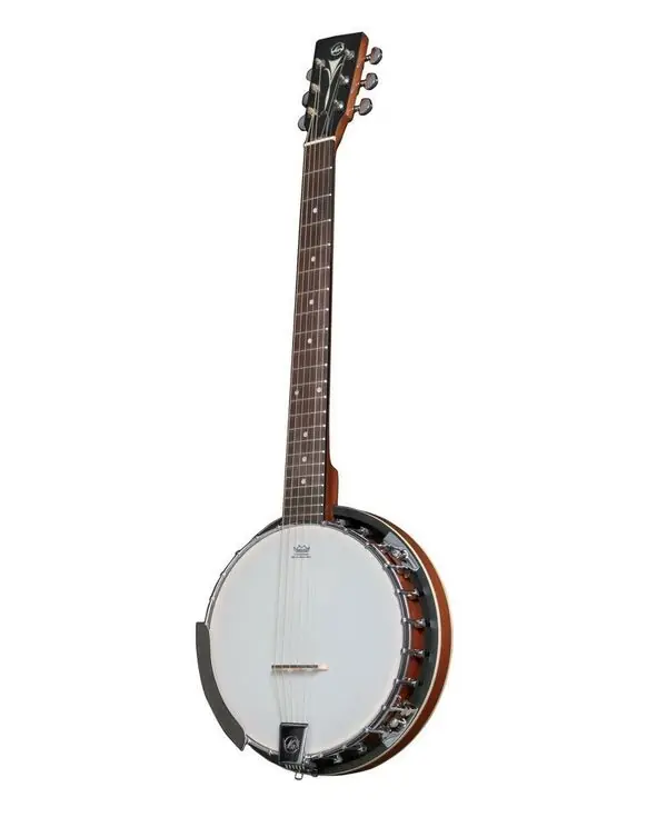 Réduction VGS SELECT BANJO TENNESSEE 6 CORDES - Avec étui
