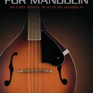 Haute Qualité Hal Leonard Simple Songs for Mandolin - TAB - Book