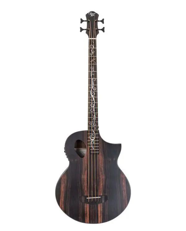 Vente Flash MICHAEL KELLY DRAGONFLY 4 JAVA BASSE ELECTO-ACOUSTIQUE EBENE NAT.