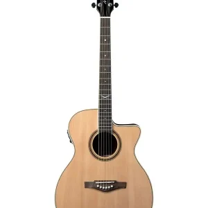 Dernier Modèle EKO NXT-A100CWE-NAT GUITARE FOLK ELECTRO AUDITORIUM NATURELLE
