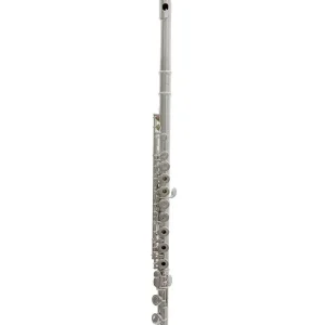 Meilleur Choix TREVOR JAMES 10X FLUTE TRAVERSIERE PLAQUE/NOYAU ARGENT