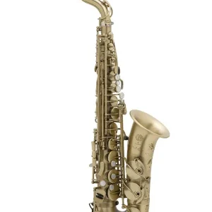 SELMER SUPREME SAXOPHONE ALTO PASSIVÉ GRAVÉ avec étui et bec Affaire À Saisir