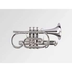 ADAMS CN1 "SELECTED" CORNET SIB ARGENTÉ (0.50) avec Housse Prix Bas