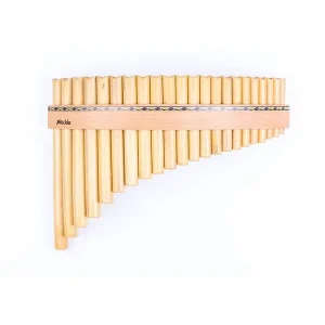 PLASCHKE R22G FLUTE DE PAN 22 TUBES AVEC SABOT SOL MAJEUR Authentique