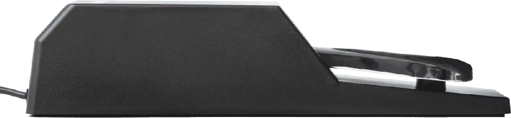 Expédié Aujourd'hui Alesis Sustain pour clavier ASP-2