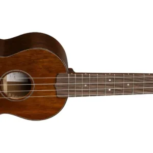 Martin Guitars Centennial 1 Concert Ukulele with Gigbag Haute Qualité