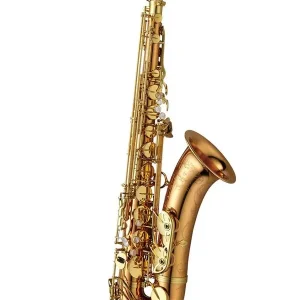 YANAGISAWA T-WO20 SAXOPHONE TENOR BRONZE VERNI OR avec étui et bec Nouvel Arrivage