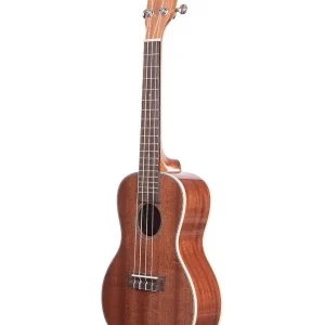 Petit Prix KALA KA-CG UKULELE CONCERT ACAJOU BRILLANT