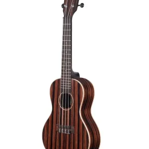 Expédition Rapide KALA KA-EBY-C "STRIPPED EBONY" UKULELE CONCERT EBENE