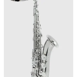 Paiement Sécurisé SELMER SUPREME SAXOPHONE TENOR ARGENTÉ GRAVÉ avec étui et bec