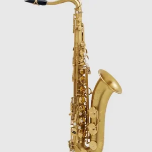 Retour Gratuit SELMER SUPREME SAXOPHONE TENOR BROSSÉ GRAVÉ avec étui et bec