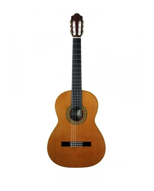 Haute Qualité ESTEVE 1 F/E BUBINGA GUITARE CLASSIQUE NATUREL - Table Cèdre massif