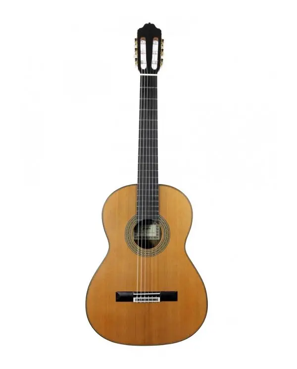Bon Marché ESTEVE 7 F/E COCOBOLO GUITARE CLASSIQUE ELECTRO CUTAWAY NATUREL