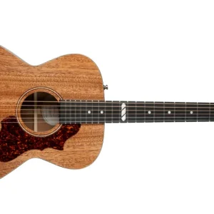 Acheter Direct Godin Guitars Fairmount CH Composer LR Baggs Element