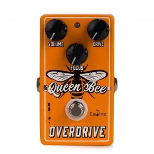 CALINE CP-503 QUEEN BEE OVERDRIVE Vente Directe
