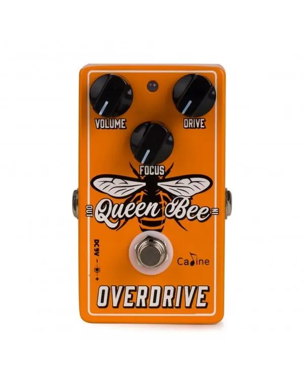 CALINE CP-503 QUEEN BEE OVERDRIVE Vente Directe