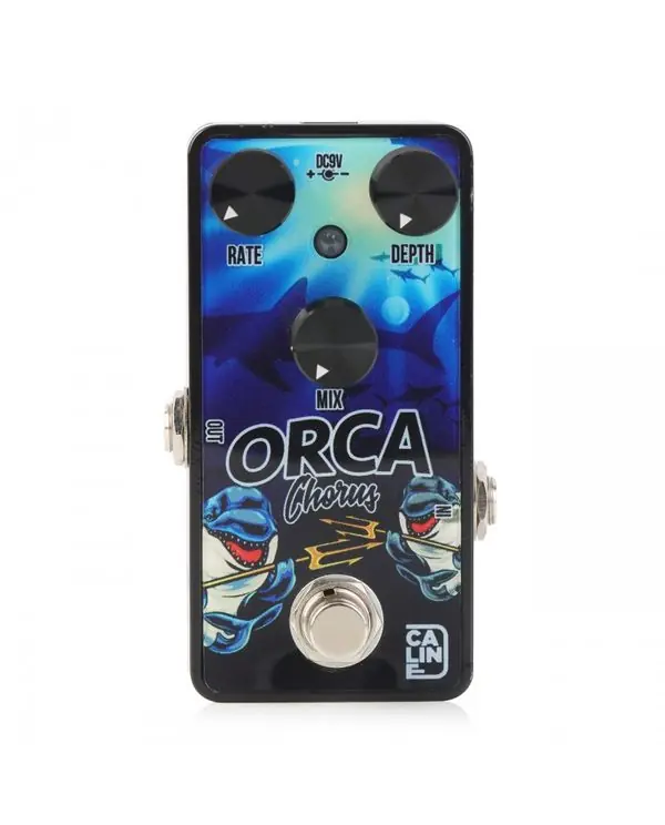 Meilleur Choix CALINE G-003 PÉDALE ORCA CHORUS